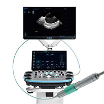 ViewFlex Xtra ICE Catheter (Abbott)