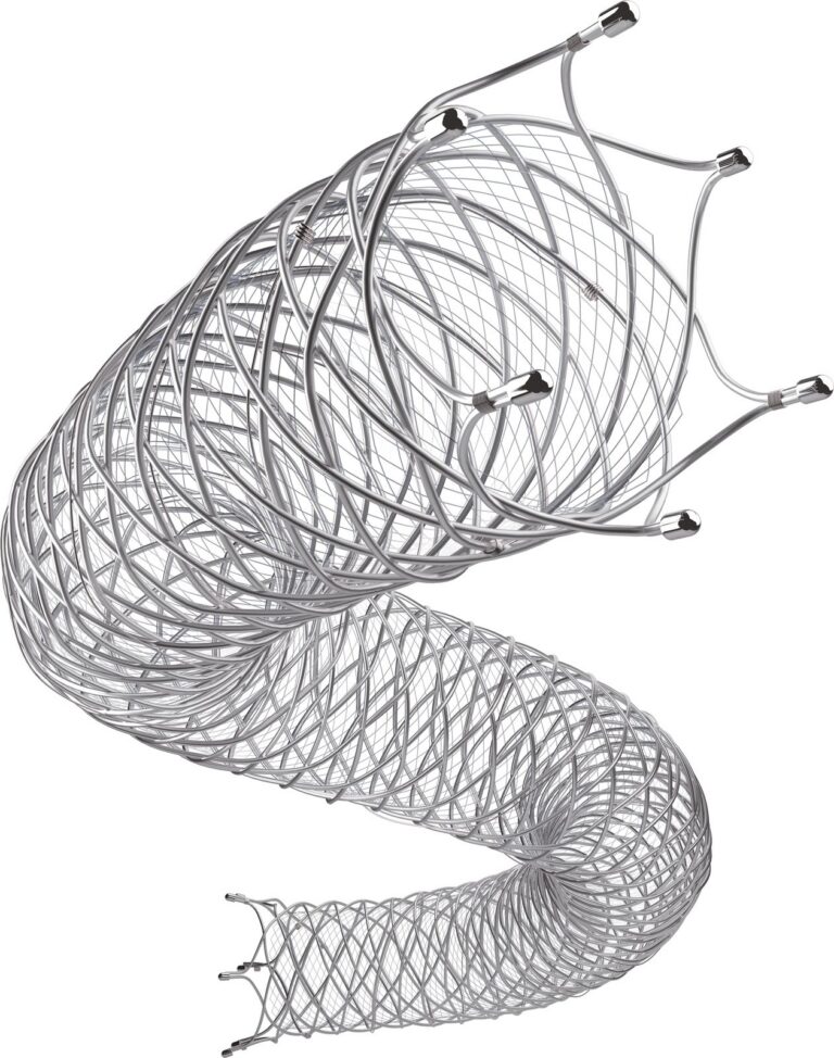 Renzan™ — periférny samoexpandovateľný stent (Terumo)