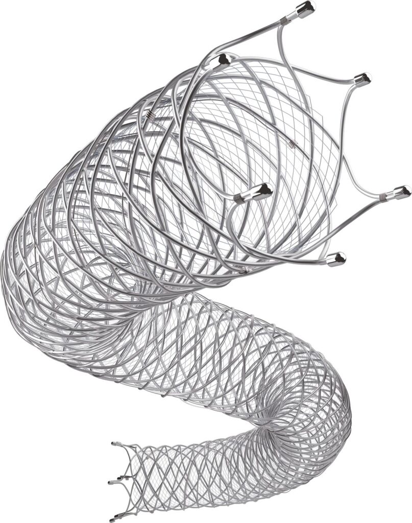 Renzan™ — periférny samoexpandovateľný stent (Terumo)